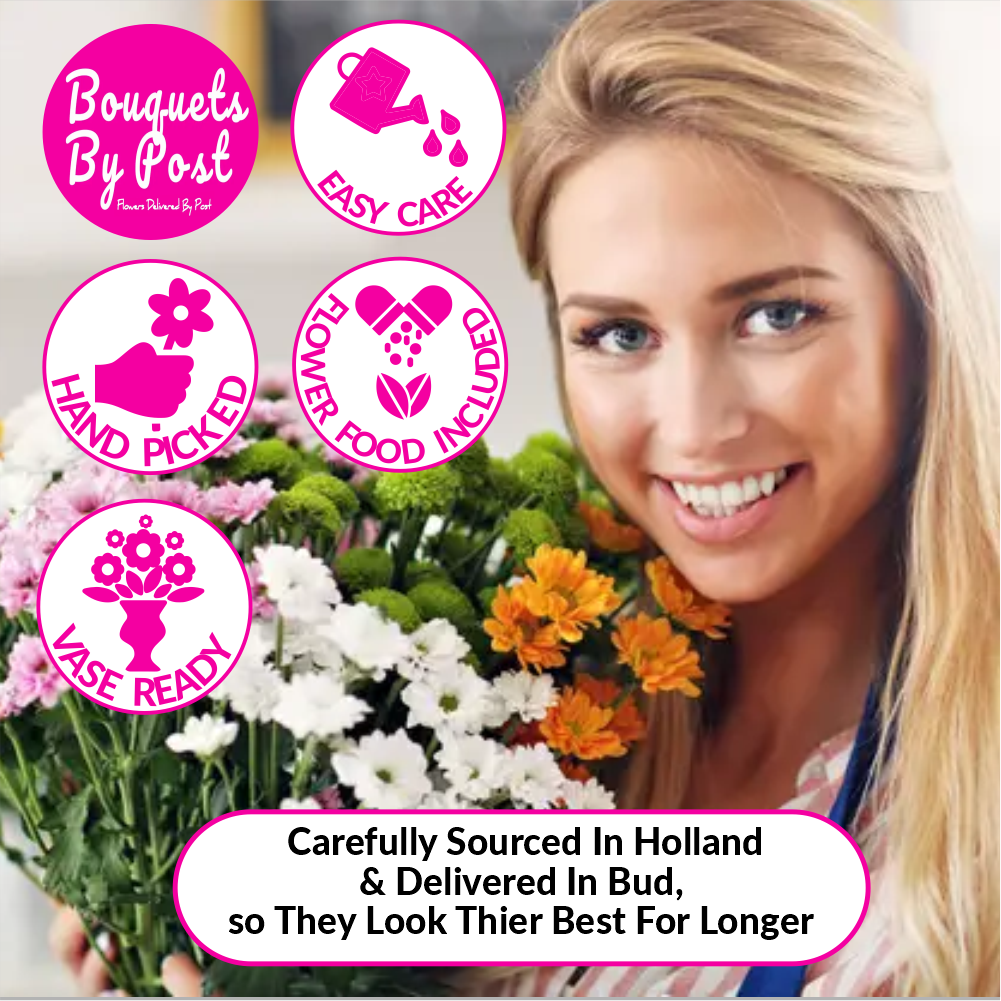 A Gerbera Special Daisy Bouquet